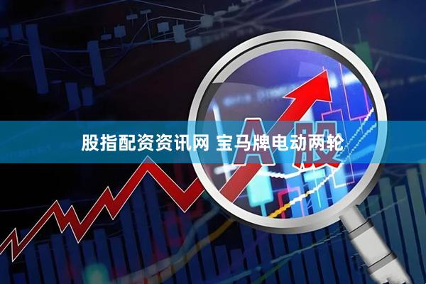 股指配资资讯网 宝马牌电动两轮